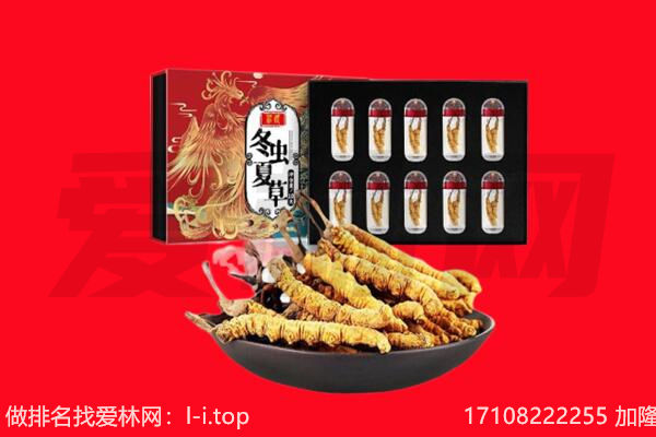 鸡西市鸡冠回收虫草.jpg